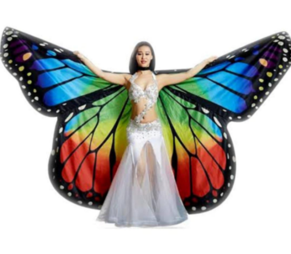 Butterfly Dance Wings Adult