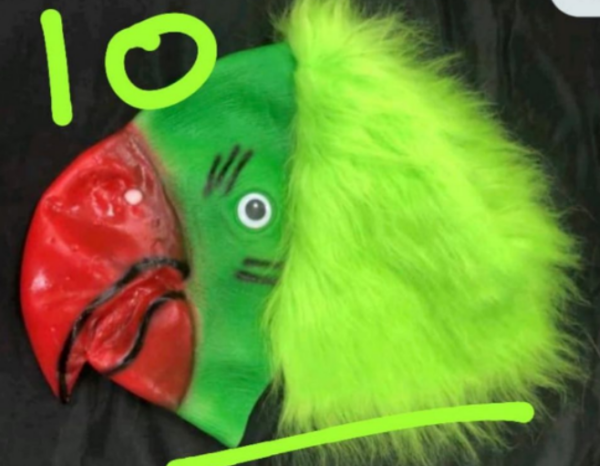 Parrot Mask Rubber