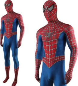 Spiderman Hollywood Adult