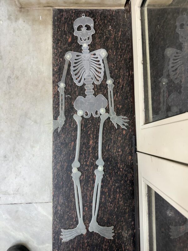 3ft Radium Skeleton