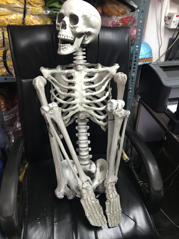 3d 6ft Skeleton
