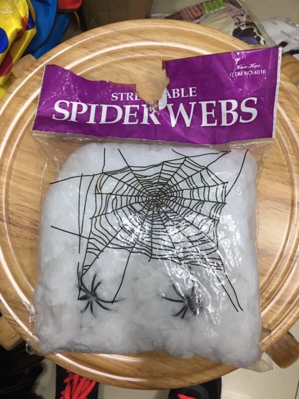 Spider Web