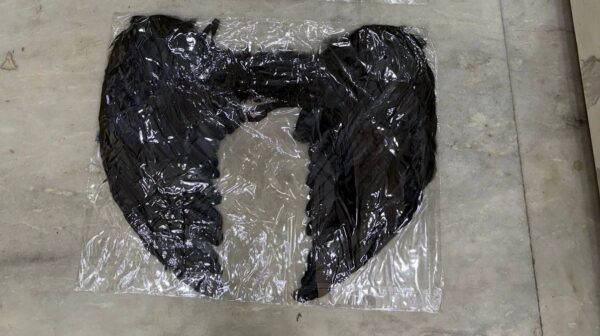 Angel demon witch wings black