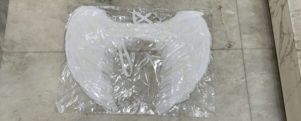 Angel wings white